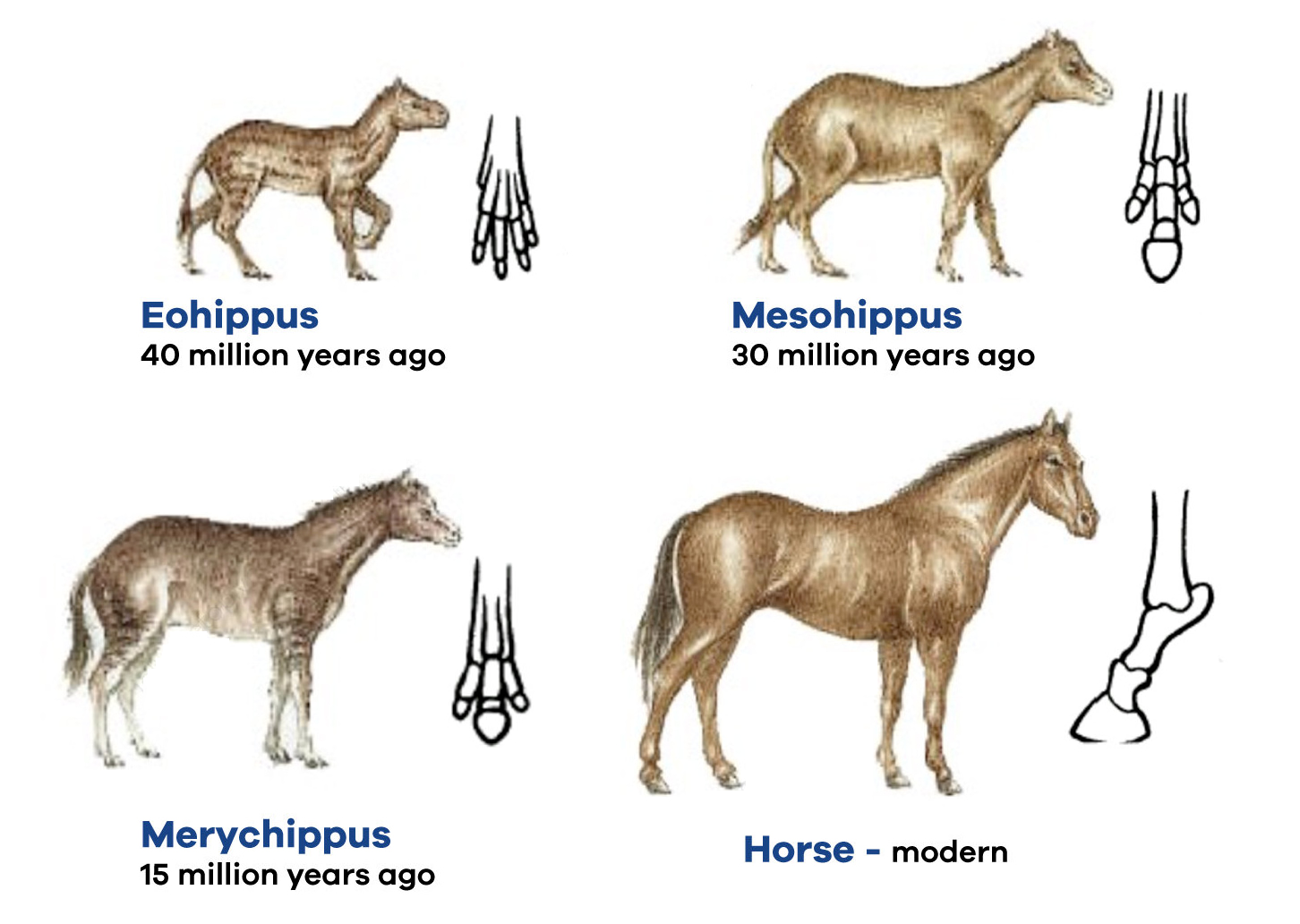 Tổng hợp bộ tứ đề thi IELTS Writing task 1 làm hoang mang sĩ tử