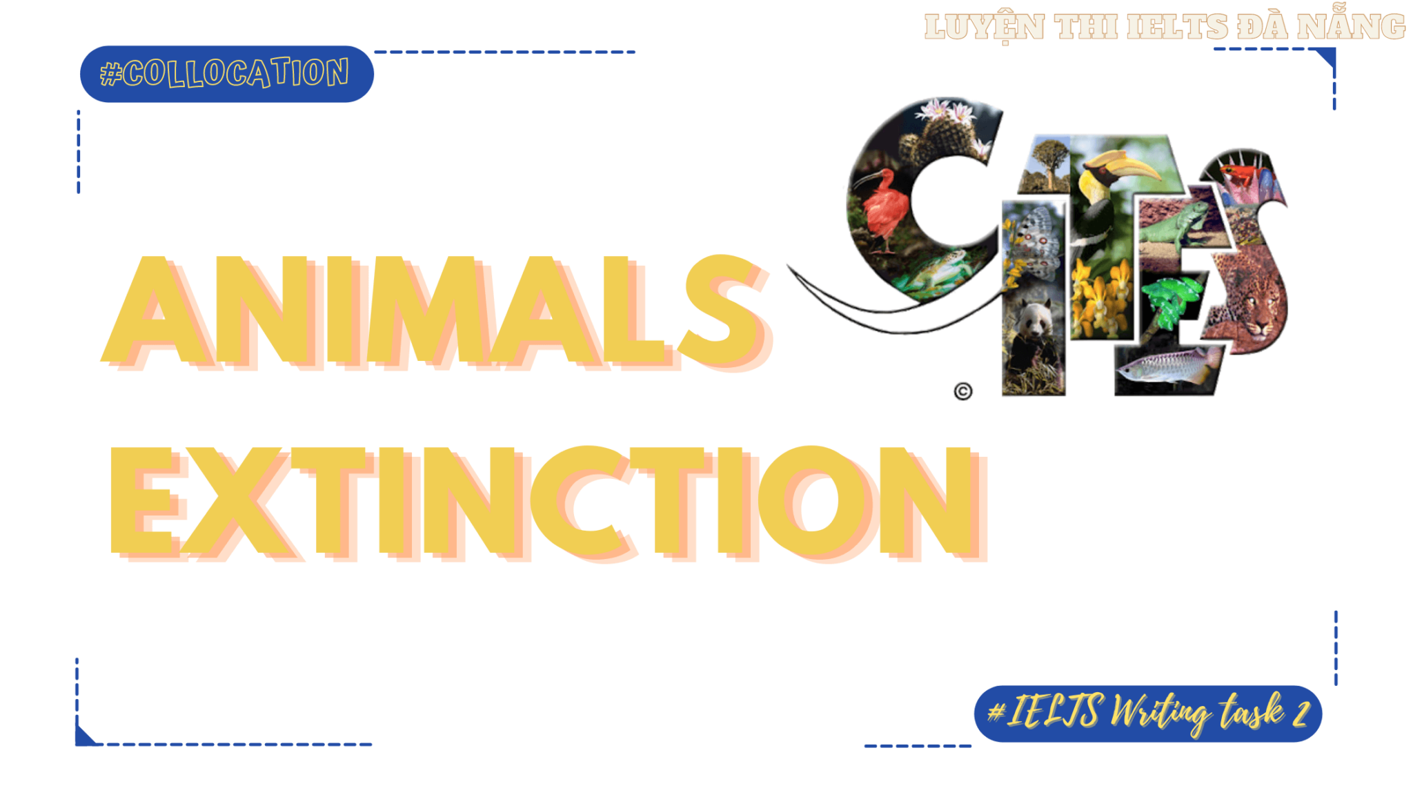 collocations-ch-animals-extinction-trong-ielts-writing-task-2-h-c